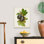 Antique Fruit VI - reproduction d'art sur toile