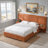 Modern Wide-Panel Upholstered Bed, Queen, Orange Velvet-324293339-324293341
