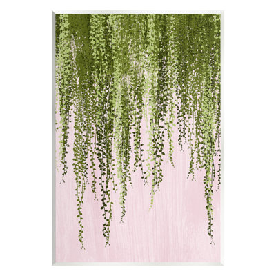 «Hanging Ivy on Pink», art mural par Grace Popp