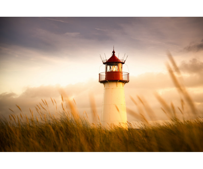 Wrapped Canvas Print, 60.96 cm H x 91.44 cm W