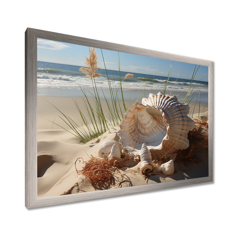 «Beach Photo Seashell Symphony I», reproduction d'art sur toile, Argent, H 30 po x l 40 po x P 1,5 po