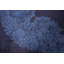 Tapis traditionnel bleu 7 x 10