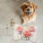 Rose Geometry - 1 Piece Bone Shape Feeding Mat