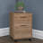 Siena 16'' Wide 2 -Drawer Mobile File Cabinet-1510534769