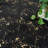 Abstract Indoor Rug-1764340025