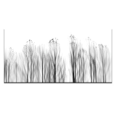 Print on Canvas
