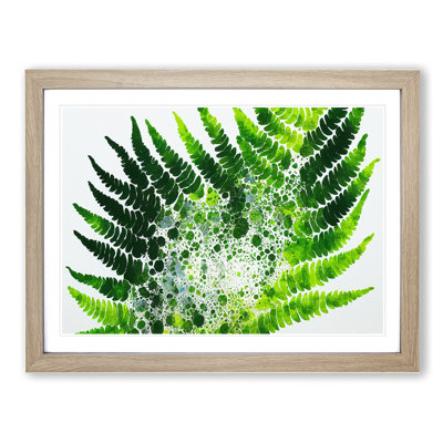 Fern Leaf Splash Vol.2 - Framed Print