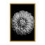 «Nature Inspired Marigold» par Alex Zhao - Photographie de cadre photo sur papier-81388028-131284511-131284589