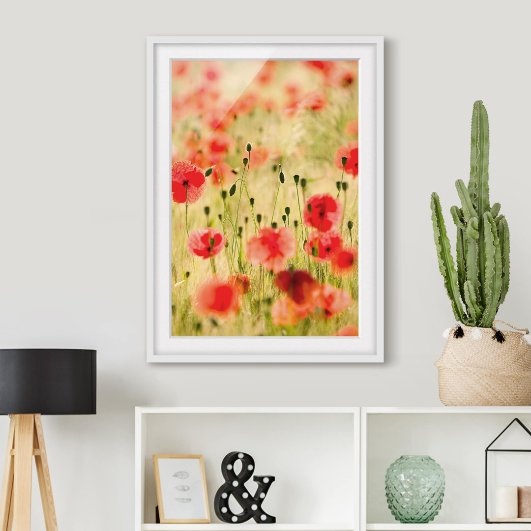 Gerahmtes Poster Sommerliche Mohnblumen