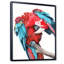 Grand perroquet avec des ailes rouges et bleues colorées - reproduction sur toile-67387379-67387380