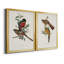 Toile encadrée de qualité supérieure Elegant Trogons I - prête à être accrochée-640088089-640088090