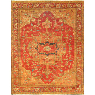 Citrana Oriental Area Rug in Rust