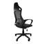 Eliezer Office Chair with Headrest