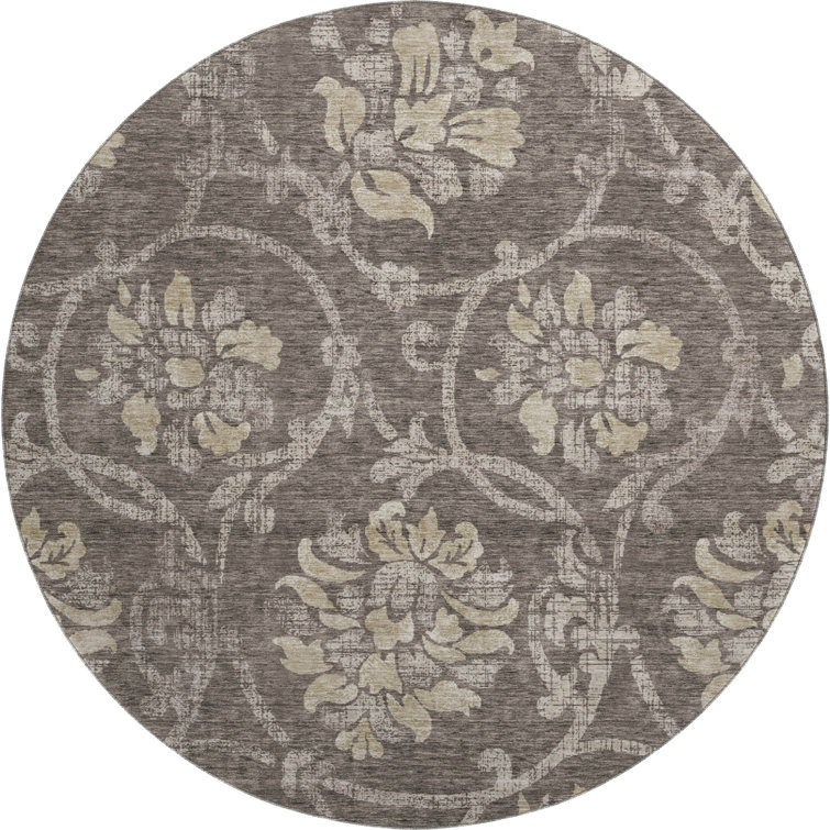 Premium Machine Washable Prisco Brown Rug