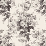 LONDON ROSE Traditional Wallpaper