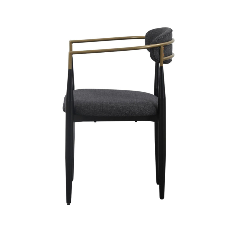 Ayliana Fabric Arm Chair Dining Chair, Dark Gray