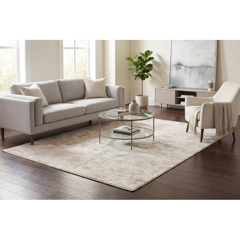 Shaniya Abstract Indoor Rug, Rectangle 3'11" x 5'7"