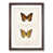 Walnut Framed selected