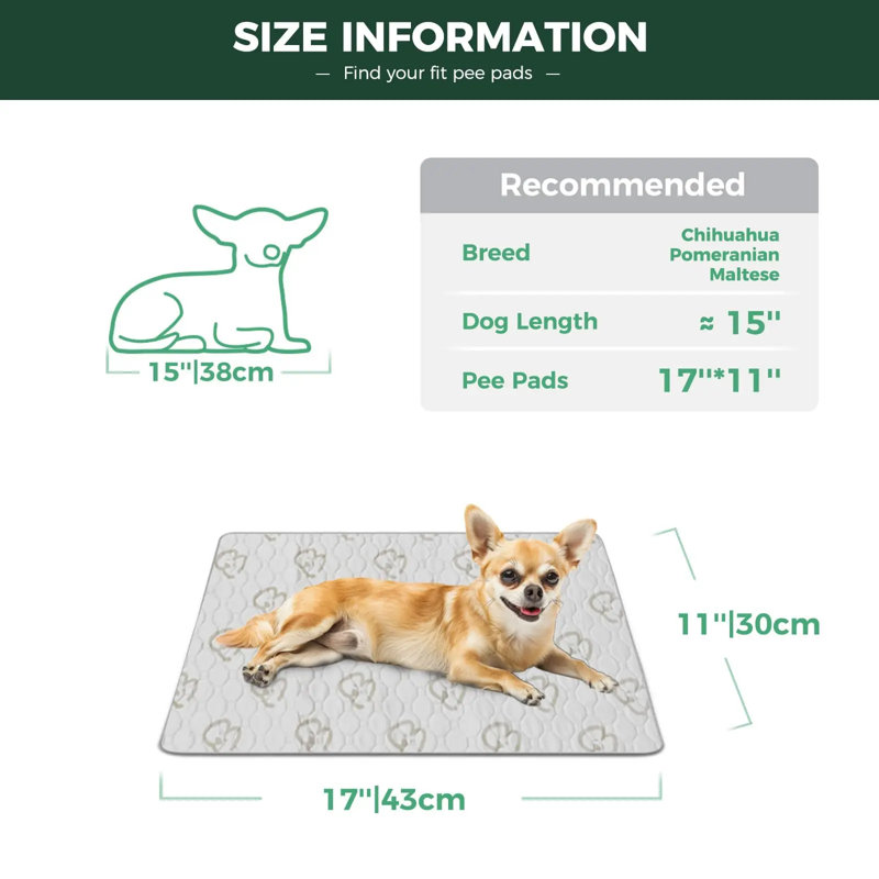 Protège-peluche lavable pour chiens, antidérapant et antidérapant, spécialement conçu pour les cages de 18 pouces, rectangulaire de 11 po x 17 po, kaki, 2 paquets
