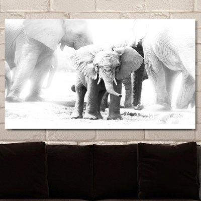 « baby éléphant », impression sur toile tendue
