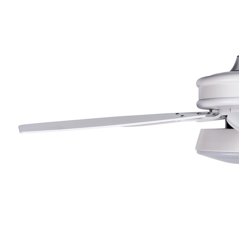 Asimakis 110cm Ceiling Fan with LED Lights