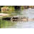 Crocodile by NitheshM - Wrapped Canvas Print-1091182468