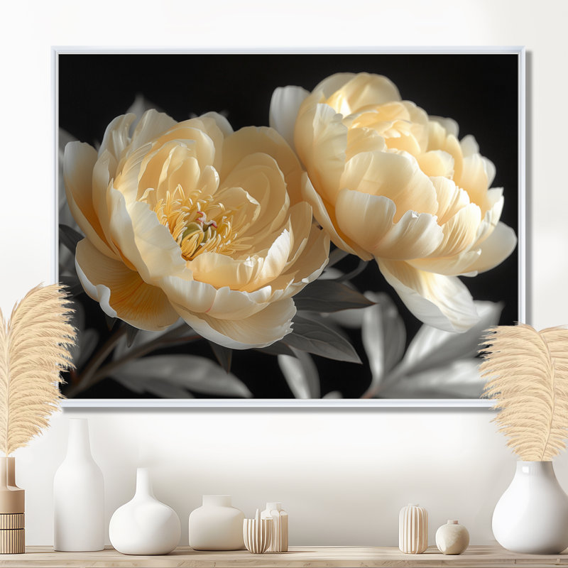 Blanc et cristal noir pivoines beauté I - pivoines, art mural, Cadre blanc, H 24 po x l 32 po