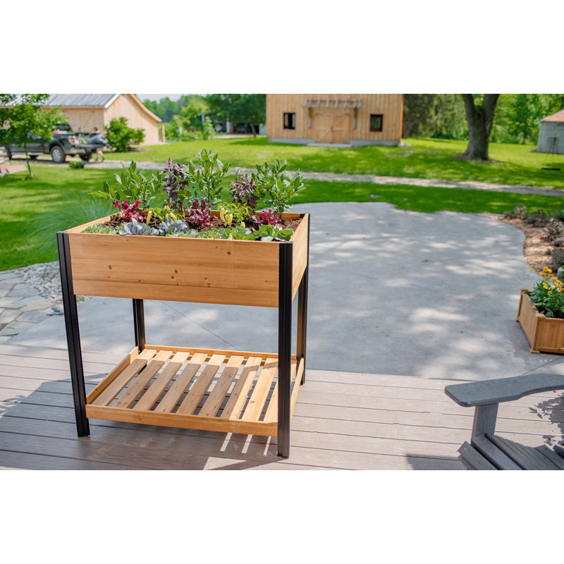 Mezza Cedar Raised Planter, 43.75" H x 40.5" W x 31.25" D
