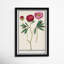 «Red and Pink Peony Botanical Study» par Birch Lane ™ - reproduction de cadre photo-68916642-68916641