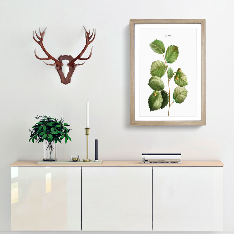 Hazelnut Tree Branch by Pierre-Joseph Redoute - Picture Frame Painting Print, Oak Framed, 48cm H x 36cm W x 2cm D