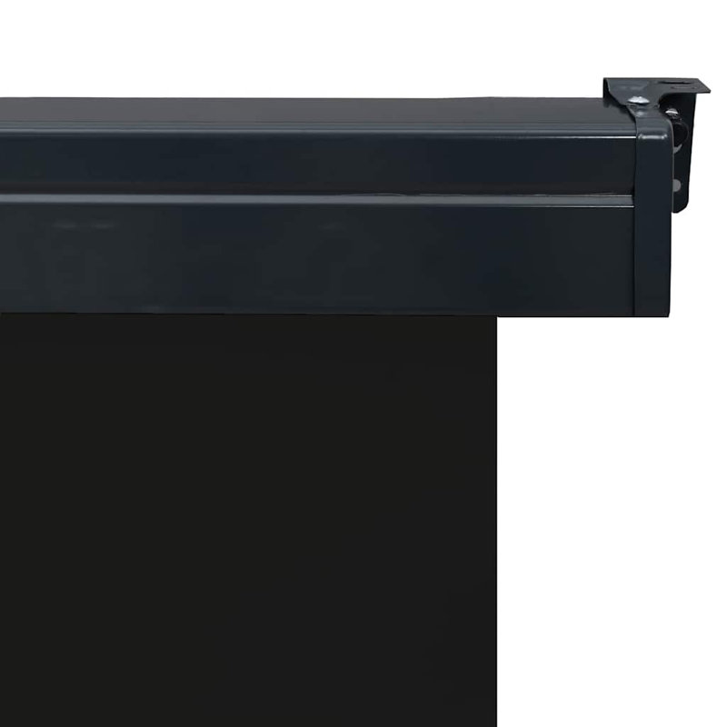 Paravent rétractable vidaXL, H 98,4 po x l 35,4 po, Noir