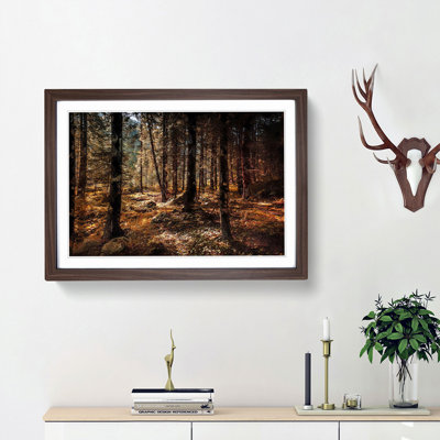Within the Woods - Framed Print