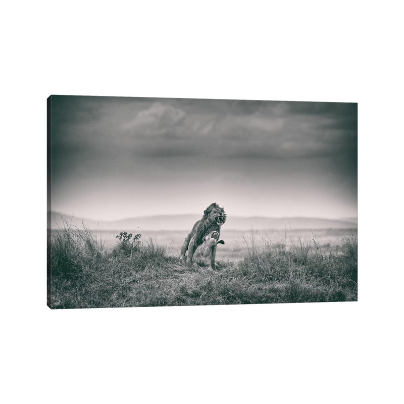 Hard 1 Piece Wrapped Canvas Wall Art, 101.6 cm H x 66.04 cm W x 3.175 cm D