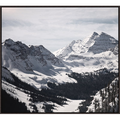 Snowy Bells VI Print by David Brown