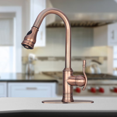 Akicon Pull Down Kitchen Faucet