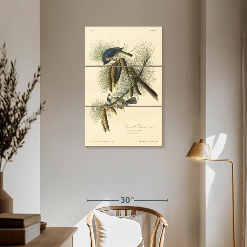 Brampt Crested Titmouse, 57" H x 36" W