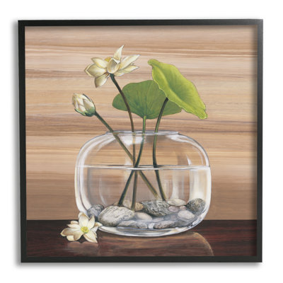" White Water Lilies And Lilypad "