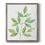 Toile encadrée de qualité supérieure Spring Greens III - prête à être accrochée-1684698403-1684698407