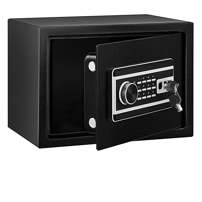 0.8 Cu. Ft. Steel Safe Box with Fingerprint Scanner, Digital Keypad, and Dual Keys for Home or Office Security