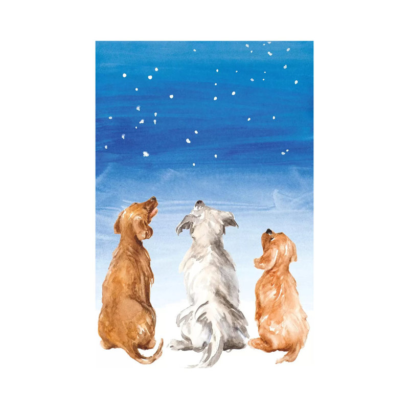 Three Dogs Star Gazing by Lanie Loreth - Wrapped Canvas Print, 30.48 cm H x 45.72 cm W