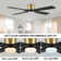 Assemgul 60'' Ceiling Fan with LED Lights
