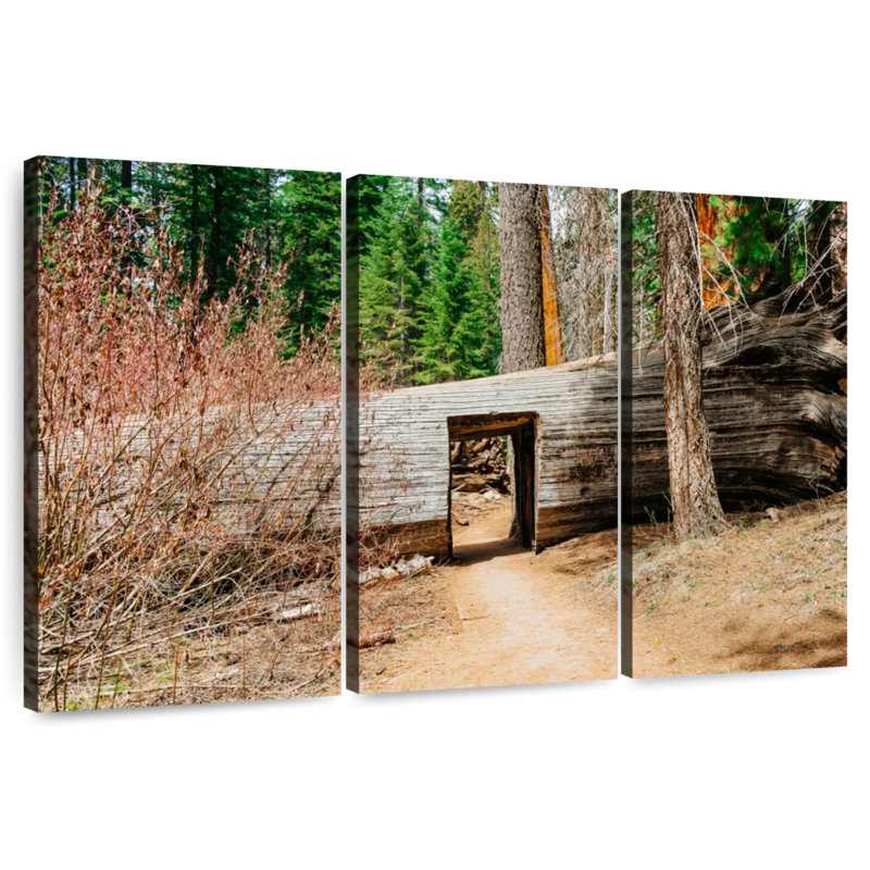 Harnek Tunnel Tree, 42" H x 65" W