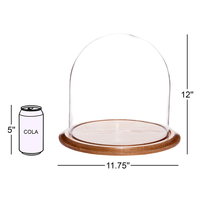 Cloche à dôme en verre 11,75 "x 12" Vucciria, Base en chêne