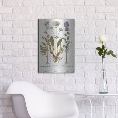Winston Porter «Valeriana» par Art Licensing Studio, art mural en métal