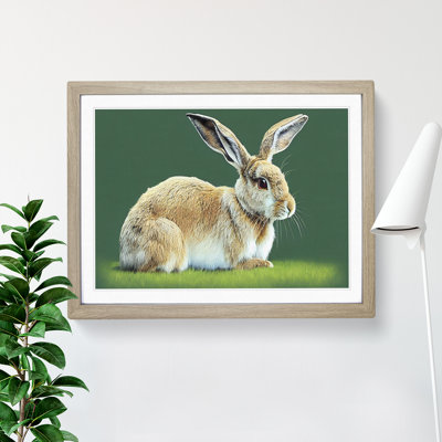 A Cute Rabbit - Framed Print