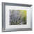 argent