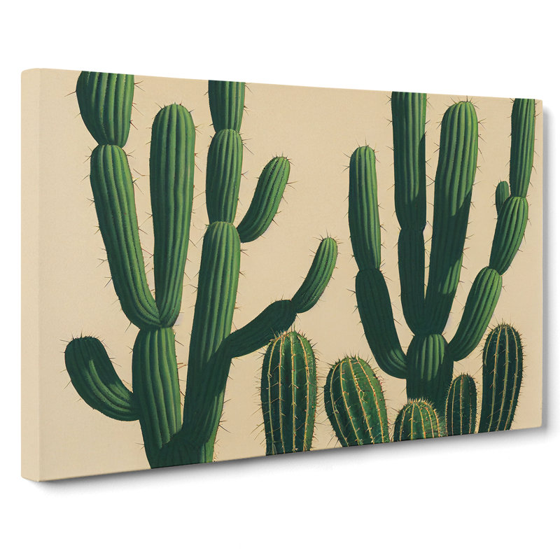 A Contemporary Cactus - Wrapped Canvas, 40cm H x 60cm W x 3cm D