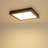 LED Light Flush Mount Ceiling Light