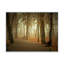 «Path by Melancholique Forest II», reproduction sur toile flottante-459751323-459751312