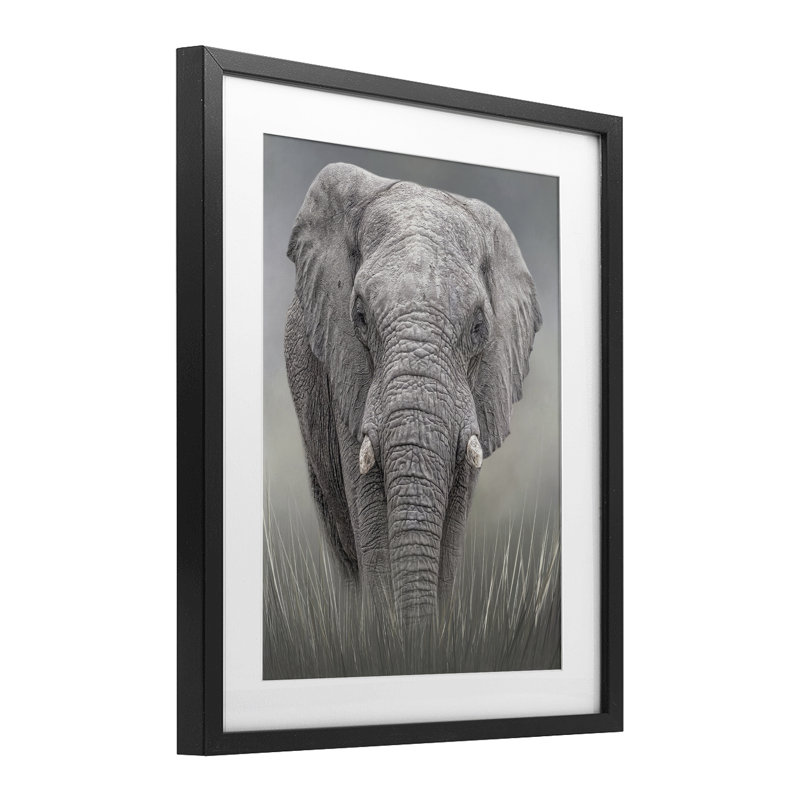 «Graceful Titan Elephant», reproduction sous verre encadrée, design par Kelley Parker, H 21 po x l 17 po, Cadre noir minuit